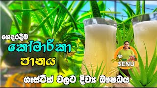 Aloevera drink How to make komarika [upl. by Norb185]