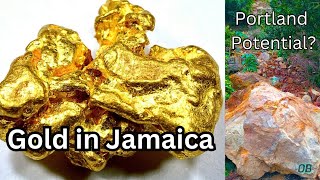 Gold in Jamaica  Portland Potential Geology Cues  Bellas Gate Reference [upl. by Margalo]