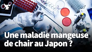 Quelle est cette bactérie «mangeuse de chair» qui inquiète le Japon [upl. by Farris]