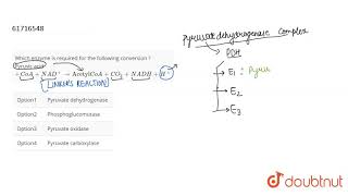 Which enzyme is required for the following conversion  Pyruvic acid CoANAD to \quotAcetyl\quot CoA [upl. by Eblehs]