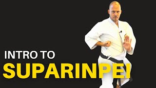 Intro to Suparinpei Kata for Goju Ryu [upl. by Roane299]