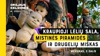 Lėlių sala ir drugelių miškas Orijaus kelionės 2 sezonas 3 laida Meksikas 3 dalis [upl. by Assyl]