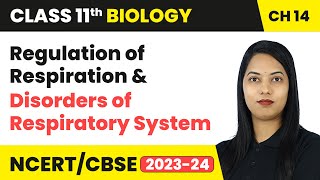 Regulation of Respiration amp Disorders of Respiratory System  Class 11 Biology Chapter 14  CBSE [upl. by Arutnev]