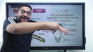 summary autotrophic nutrition  2nd secondary [upl. by Bertine]