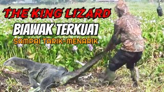 BERBURU BIAWAK TERKUAT SEPANJANG MASA [upl. by Kcor]