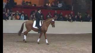 ♥ Propriano de lEbat stallion SF [upl. by Loftis]