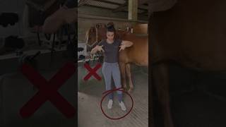 RIGHT ✅ WRONG ❌ Equestrians🐴 equestrian horse hacks shorts viralvideo [upl. by Dottie]