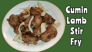 Chinese Style Cumin Lamb Stir Fry [upl. by Oht217]