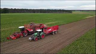 Grimme Rexor 6300 Speed Tronic [upl. by Aihsenod]