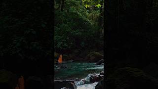 Beautiful Flowing rivergreenry⛰️ asmrshorts shortsfeedriver [upl. by Sanders81]