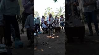 Pascolas charay el fuerte sinaloa  semana santa 2018 [upl. by Brigitte]