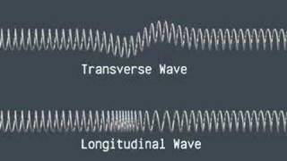 Transverse and Longitudinal Waves [upl. by Hinze443]