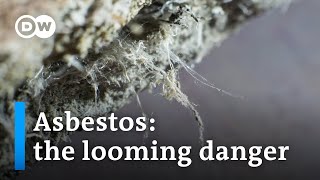 Why asbestos still remains a global hazard  DW News [upl. by Lilahk]