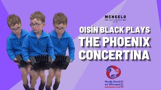 Oisín Black plays the Phoenix Concertina at Fleadh 2019  McNeela Instruments [upl. by Madelin641]