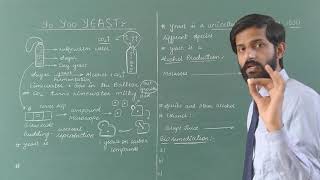 Useful and harmful microbes  Lecture 3  Yeast  Alcohol Production  Bioremediation  Alcanivorax [upl. by Minor]