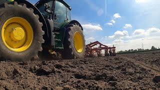 Fodder Beet Drilled  Cattle Out [upl. by Esli382]