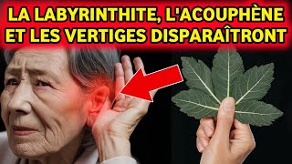 Plante 1 Remède miracle pour la labyrinthite et les acouphènes  À voir absolument [upl. by Azaria493]