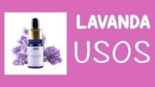 ACEITE ESENCIAL DE LAVANDA Propiedades y Usos [upl. by Astrid]