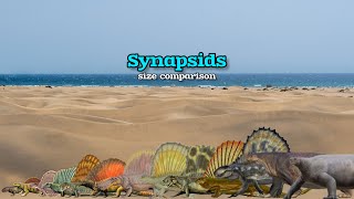 SYNAPSIDS  Size Comparison [upl. by Nilved397]