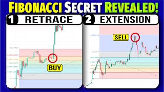 😱 FIBONACCI Secret Revealed  Fibonacci Full Course For Beginners  Boom Trade  Aryan Pal [upl. by Adnana461]