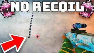 How to get NO MozzieAruni P10 RONI Recoil  Rainbow Six Siege [upl. by Othilie]