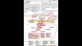 Haemolytic Anemia  General Principles [upl. by Hogarth]