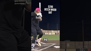 Close Call Baseball Bat Test Nearly Ends in Disaster shortsfeed shorts shortvideo [upl. by Ormsby]