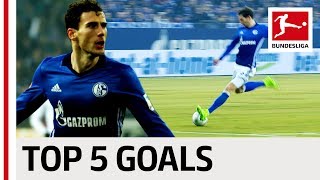 Leon Goretzka  Top 5 Goals [upl. by Litha]