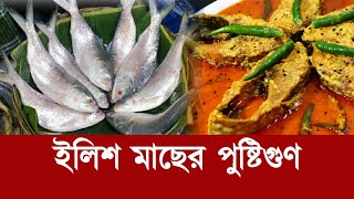 ইলিশ মাছের পুষ্টিগুণ  Tenualosa Ilisha  Hilsa  Ilish Fish  Nutrition  Health Tips [upl. by Zacherie]