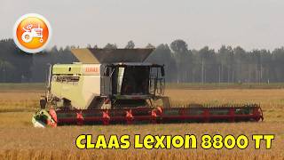 Harvest 2024  Claas Lexion 8800 combine amp Convio 1230 header [upl. by Ananna]