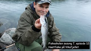 Fiskeskolen sesong 7 episode 12 Høstfiske på Vikafjellet [upl. by Halullat]