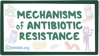 Mechanisms of antibiotic resistance [upl. by Esemaj]