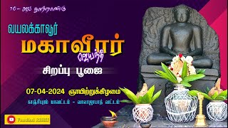 Vayalakkavur  Sri Mahaveerar Jayanthi Spl Pooja  Vandhai RISHI [upl. by Alikam34]