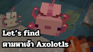 เข้าถ้ำตามหาเจ้า Axolotls  Minecraft [upl. by Tarah307]