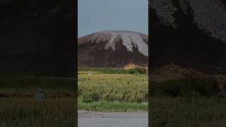 munculnya gunung ditengah sawah shortsvideo [upl. by Engamrahc]