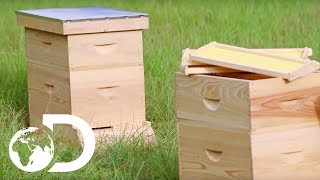 BEEHIVE  How Its Made [upl. by Heater]