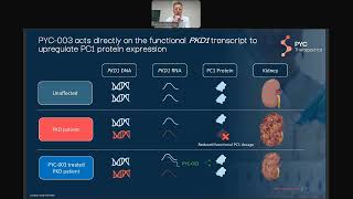 PYC Investor Presentation of PYC 003 ADPKD Drug Safety amp Efficacy on 28 Nov 2024 [upl. by Barbee133]