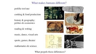 CARTATheory of MindWhat Makes Humans Different Brain Imaging Studies Mirror Neurons and More [upl. by Nwaf]