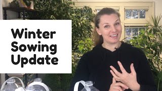 🌱 Winter Sowing Update  Lessons Learned  Y Garden 🌱 [upl. by Rockey]