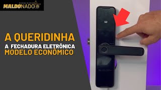 TUTORIAL Fechadura Eletrônica Biométrica KT 1000 [upl. by Ynohtnaluap]