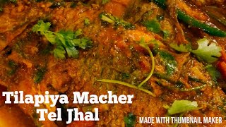 Tilapia Macher Tel JhalTilapia Fish recipe Indian Style Tilapia fish curryTilapia Macher recipe [upl. by Coralyn884]