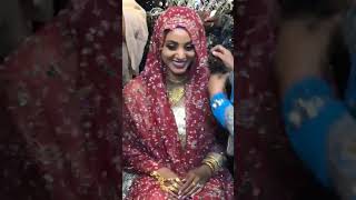 Beautiful Ethiopian Harari Wedding Ceremony [upl. by Haelam]