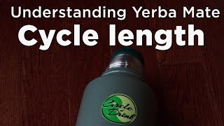 Understanding Yerba Mate Cycle Lengths [upl. by Oiziruam]