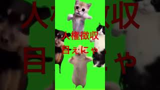 ソ連猫ダンス 空耳 編集ゴ○クオリティ ネタ ソ連 猫ミーム ソ連国歌 ダンス 空耳 [upl. by Wrdna384]