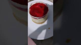 Mini cheesecake [upl. by Dena620]