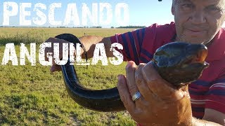 PESCANDO ANGUILAS en SAN VICENTE 2019 Parte 2 [upl. by Rexferd241]