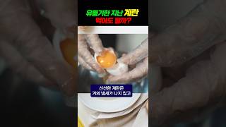 유통기한 지난 계란 먹어도 될까 [upl. by Tory]