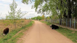 【4K】IBICUY por el CAMINO de los Campings al lado del Río Driving TOUR 2021 ENTRE RÍOS  ARGENTINA [upl. by Eugatnom]