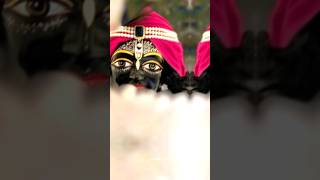 Krishna Video Status  Krishn Premi  Jai Shree Krishna 🦚☘️❣️ youtubeshorts haremurari shorts [upl. by Alrats]