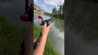 WELS CATFISH SUMMER FISHINGcasting [upl. by Susy]